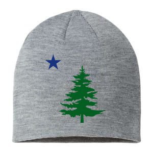 Old Maine State Flag 1901 Pine Tree Star Sustainable Beanie