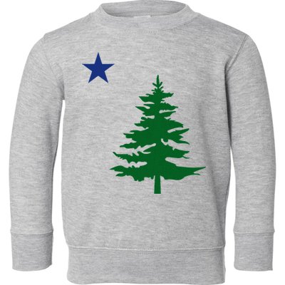 Old Maine State Flag 1901 Pine Tree Star Toddler Sweatshirt