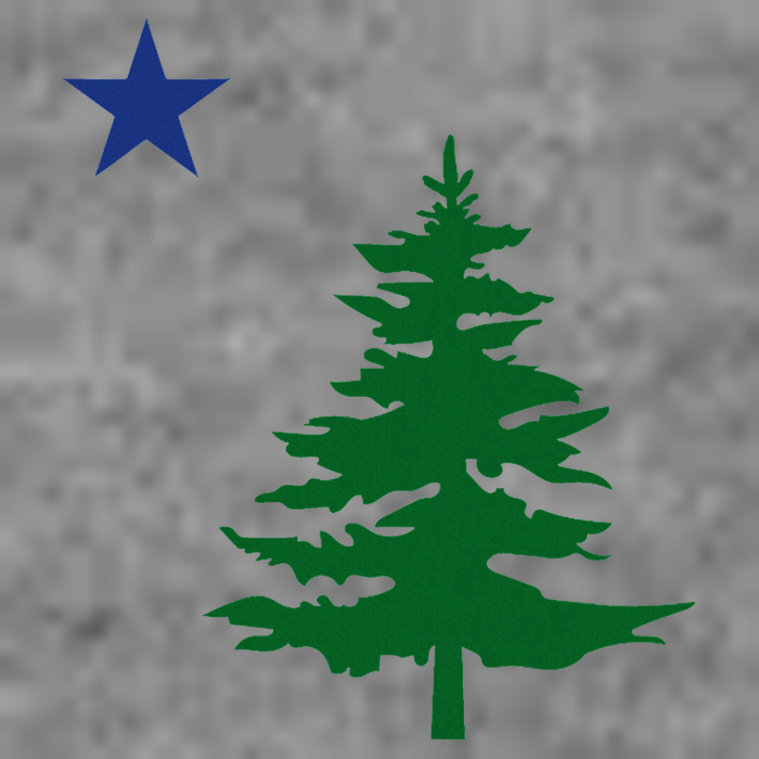 Old Maine State Flag 1901 Pine Tree Star Tall Hoodie
