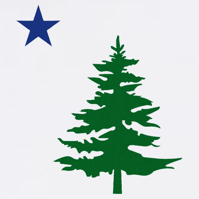 Old Maine State Flag 1901 Pine Tree Star Mesh Reversible Basketball Jersey Tank