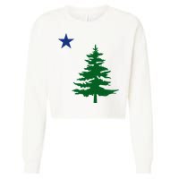 Old Maine State Flag 1901 Pine Tree Star Cropped Pullover Crew