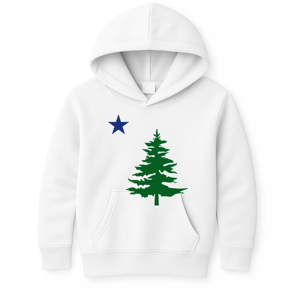 Old Maine State Flag 1901 Pine Tree Star Kids Hoodie