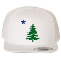 Old Maine State Flag 1901 Pine Tree Star Wool Snapback Cap