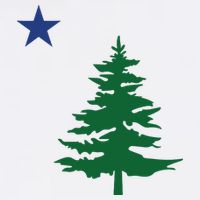 Old Maine State Flag 1901 Pine Tree Star Cooling Performance Crew T-Shirt
