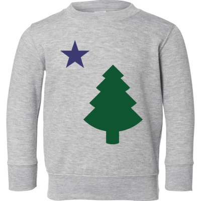 Old Maine State Flag 1901 Pine Tree Star Toddler Sweatshirt