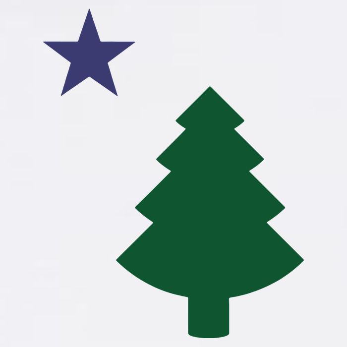 Old Maine State Flag 1901 Pine Tree Star Women's Crop Top Tee