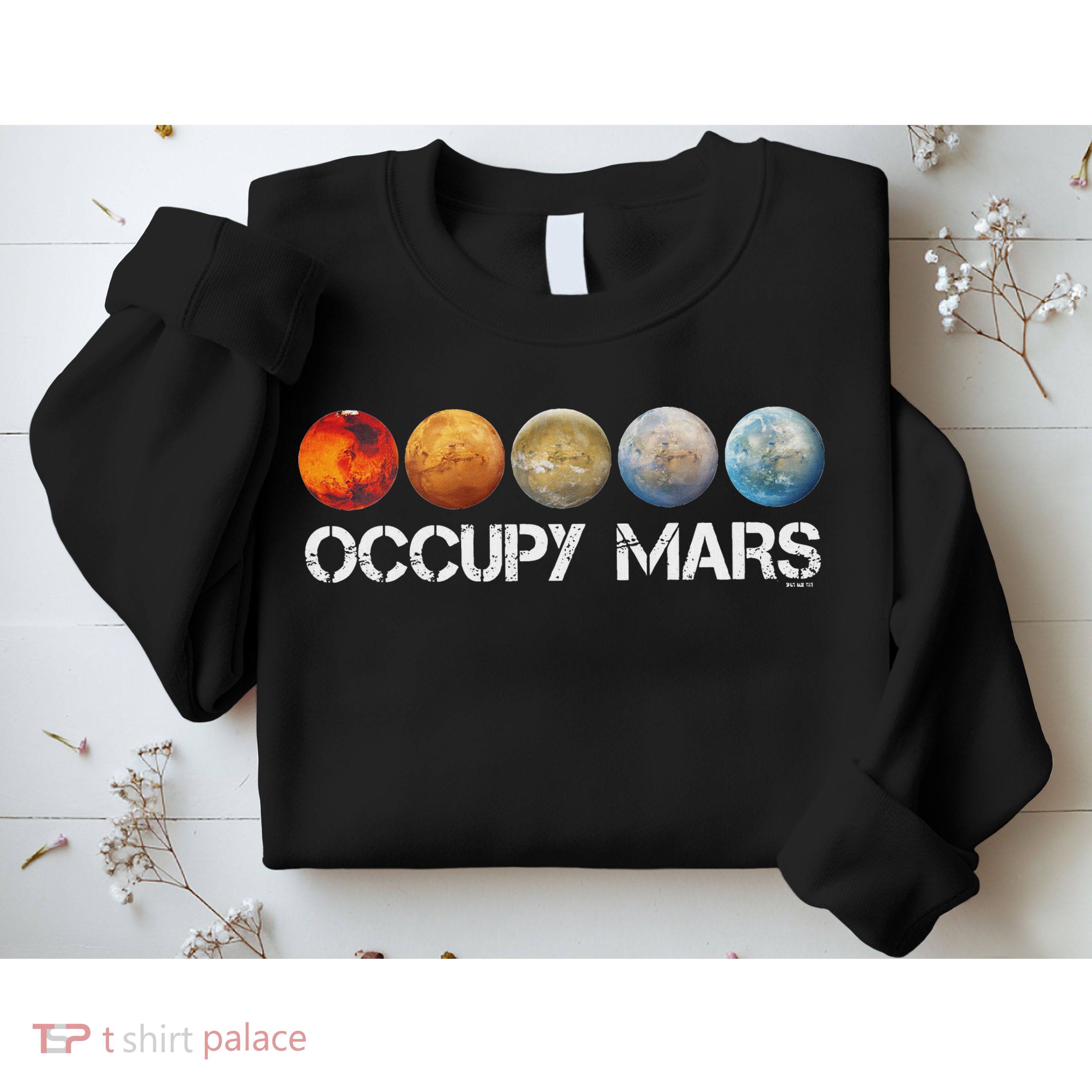 Occupy Mars Terraform Sweatshirt