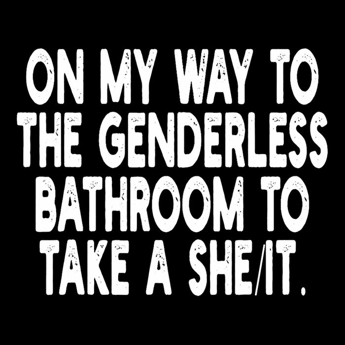 On My Way To The Genderless Bathroom To Take A Sheit Poster