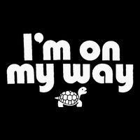 On My Way Slow And Steady Turtle Adventure Button