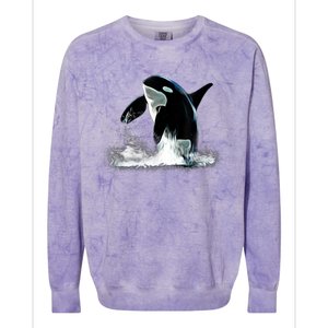 Orca Motif Whale Predator Animals Design Colorblast Crewneck Sweatshirt