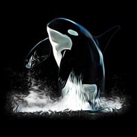 Orca Motif Whale Predator Animals Design 16 in Basic Backpack