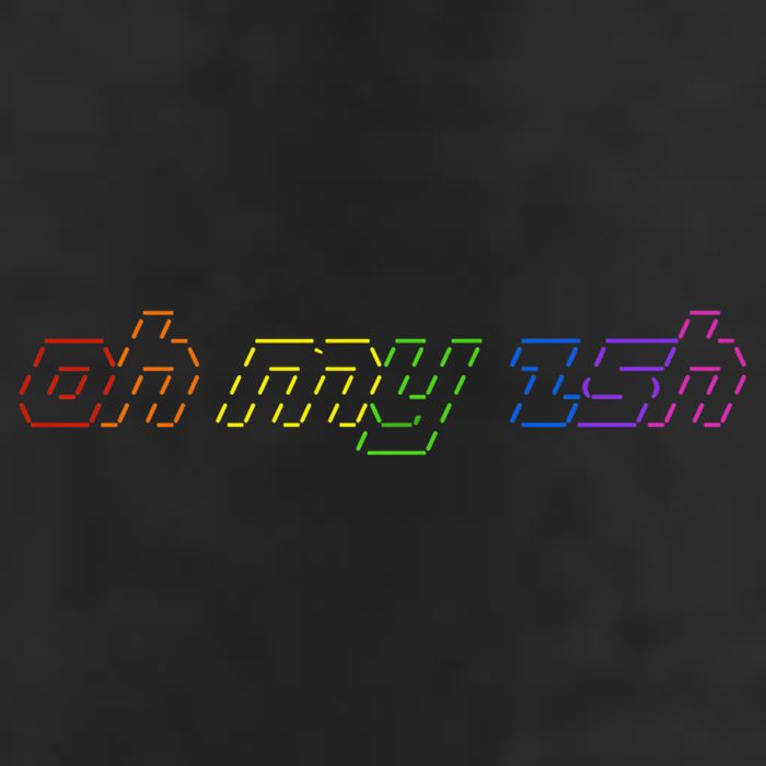 OH MY ZSH Programming Coder Hacker Nerdy Computer Tech 25L Jumbo Tote