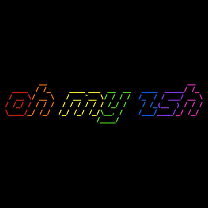 OH MY ZSH Programming Coder Hacker Nerdy Computer Tech Wool Snapback Cap