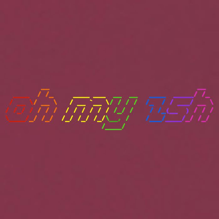 OH MY ZSH Programming Coder Hacker Nerdy Computer Tech 16oz Travel Tumbler