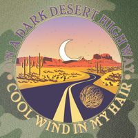 On A Dark Desert Highway Cool Wind In My Hair Legacy Tie Dye Trucker Hat