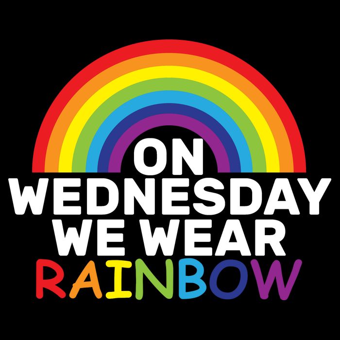On Wednesday We Wear Rainbow Toddler T-Shirt