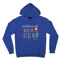 Oncology Nurse Christmas Professional Cancer Sleigher Hoodie