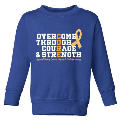 Overcome Ney Cancer Orange Ribbon Event March Gift Toddler Sweatshirt