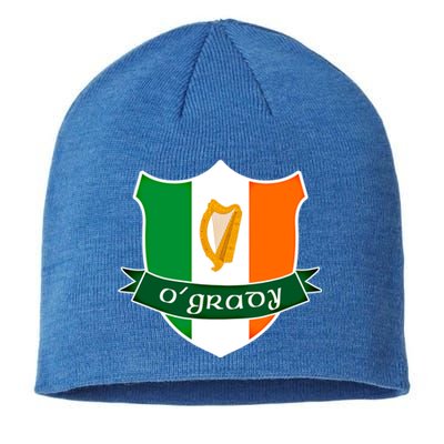 Ogrady Name Irish Funny Gift Irish Flag Harp Crest Sustainable Beanie