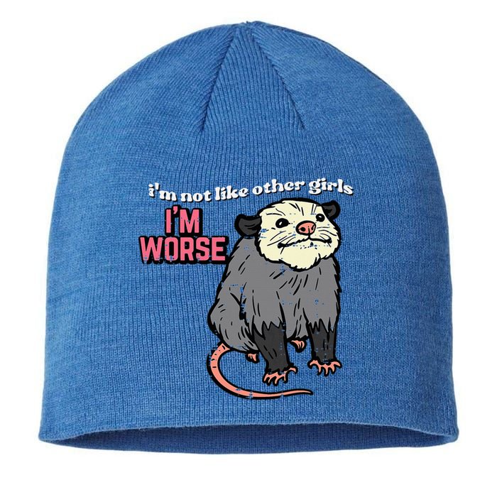 Opossum Not Like Other Im Worse Funny Possum Sustainable Beanie