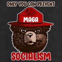 Only Can You Prevent Maga Socialism Adult Drive Performance Visor