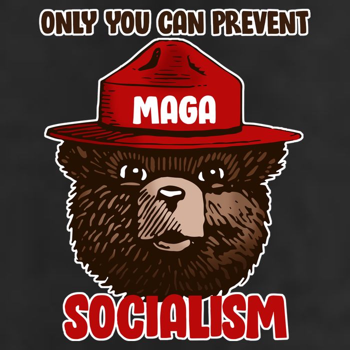 Only Can You Prevent Maga Socialism Adult Drive Performance Visor