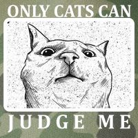 Only Cats Can Judge Me Legacy Tie Dye Trucker Hat