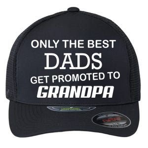 Only The Best Dads Could Get Promoted To Grandpas Flexfit Unipanel Trucker Cap