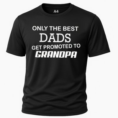 Only The Best Dads Could Get Promoted To Grandpas Performance Shirt