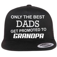 Only The Best Dads Could Get Promoted To Grandpas Flat Bill Trucker Hat