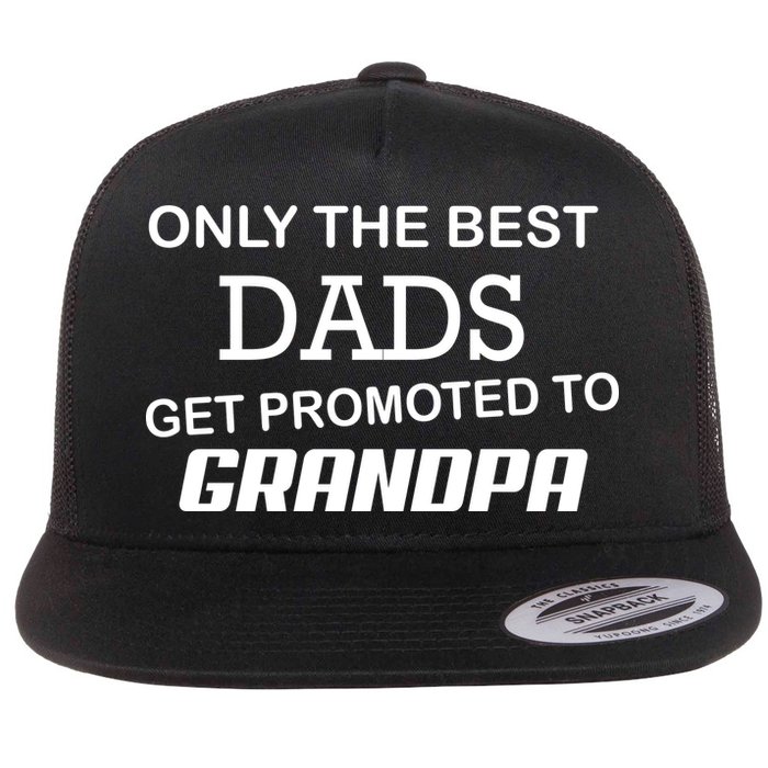 Only The Best Dads Could Get Promoted To Grandpas Flat Bill Trucker Hat