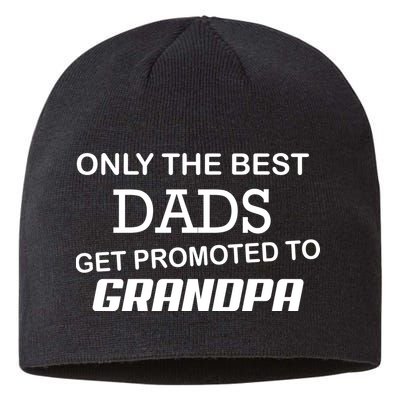 Only The Best Dads Could Get Promoted To Grandpas Sustainable Beanie