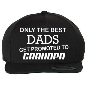 Only The Best Dads Could Get Promoted To Grandpas Wool Snapback Cap