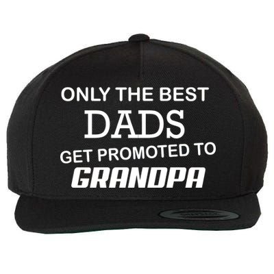 Only The Best Dads Could Get Promoted To Grandpas Wool Snapback Cap