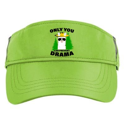 Only You Can Prevent Drama Adult Drive Performance Visor