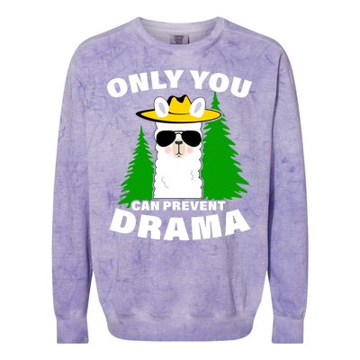 Only You Can Prevent Drama Colorblast Crewneck Sweatshirt