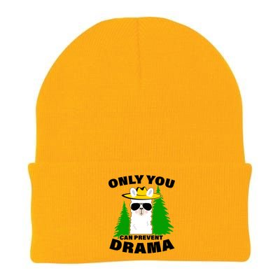 Only You Can Prevent Drama Knit Cap Winter Beanie