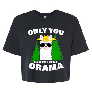 Only You Can Prevent Drama Bella+Canvas Jersey Crop Tee