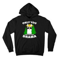 Only You Can Prevent Drama Hoodie