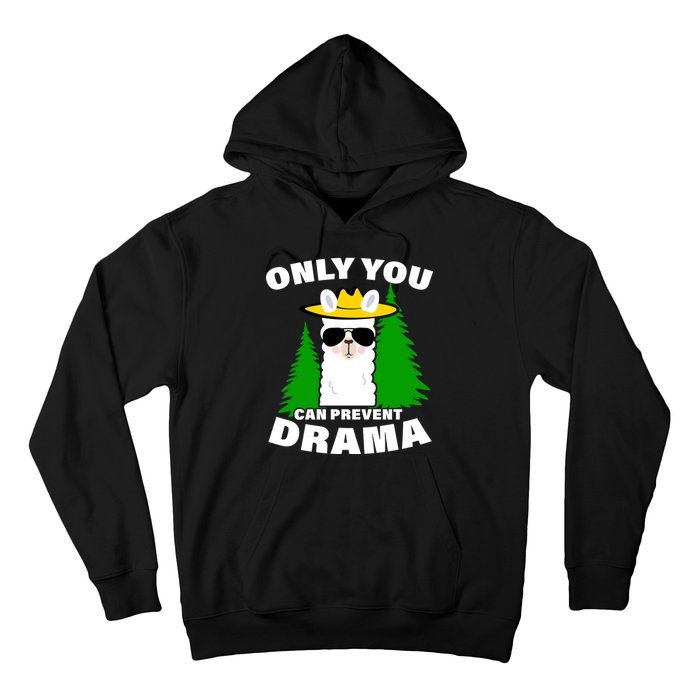 Only You Can Prevent Drama Hoodie