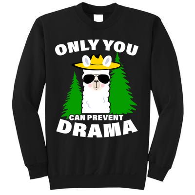Only You Can Prevent Drama Sweatshirt