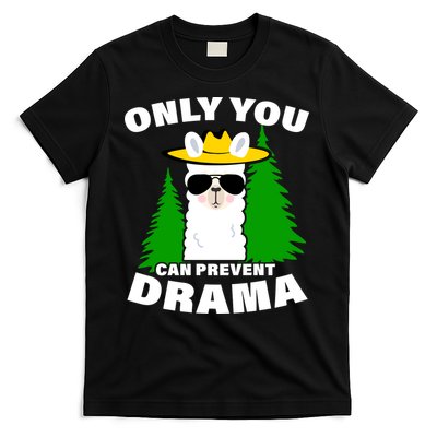 Only You Can Prevent Drama T-Shirt