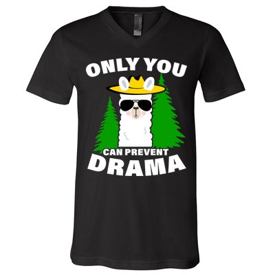 Only You Can Prevent Drama V-Neck T-Shirt