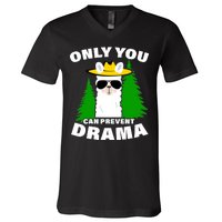 Only You Can Prevent Drama V-Neck T-Shirt