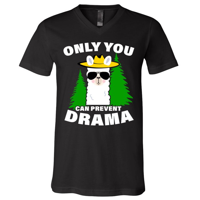 Only You Can Prevent Drama V-Neck T-Shirt