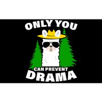 Only You Can Prevent Drama Bumper Sticker