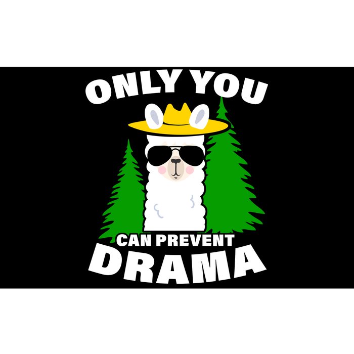 Only You Can Prevent Drama Bumper Sticker