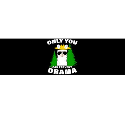 Only You Can Prevent Drama Bumper Sticker