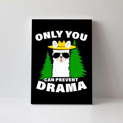 Only You Can Prevent Drama Canvas