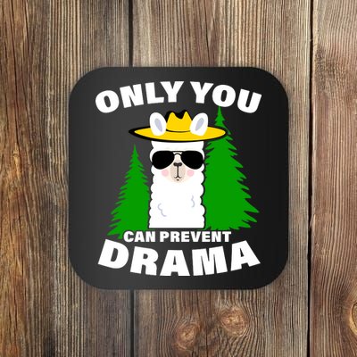 Only You Can Prevent Drama Coaster